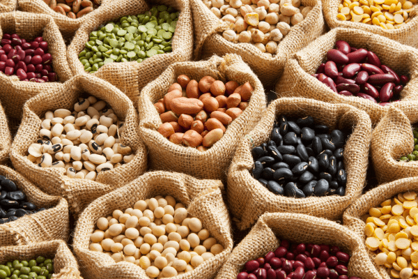 Meatless Mondays